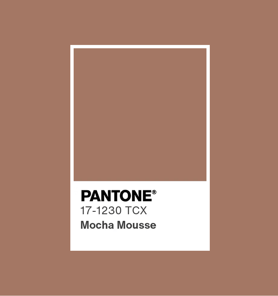 Dúo Bra  Navy  💙 MOKKA 🤎 - 4Women